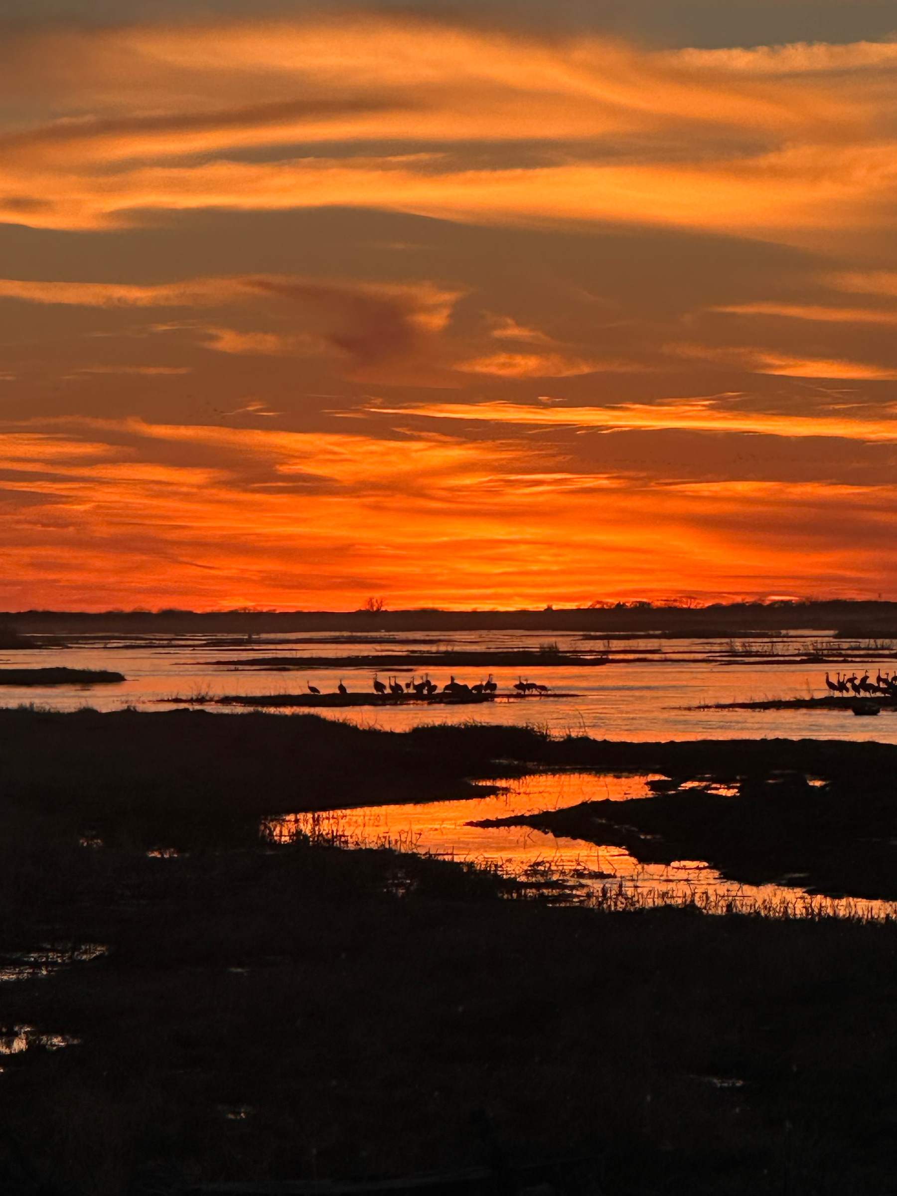 A stunning sunset casts vibrant orange and red hues over a silhouette of birds near a calm body of water.