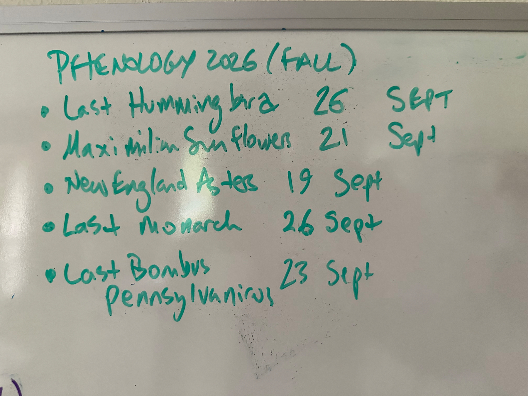 A whiteboard notes the fall phenology dates for 2026, including the last and first sightings of hummingbirds, Maximilian sunflowers, New England asters, monarchs, and Bombus pennsylvanicus.